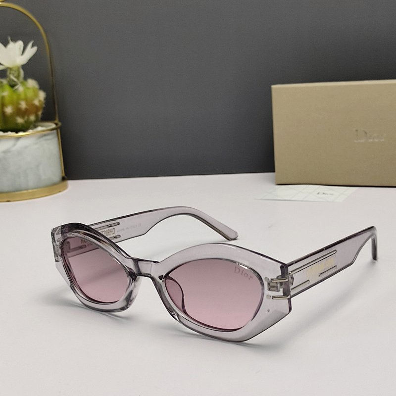 DIOR SUNGLASSES (2)