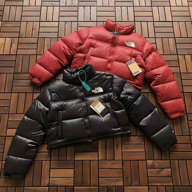 THE NORTH FACE TSHIRTS (141)
