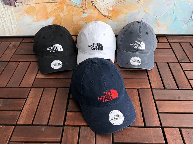 THE NORTH FACE TSHIRTS (183)