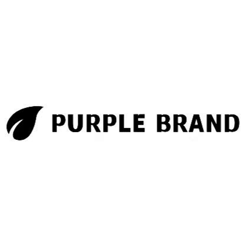 PURPLE BRAND TSHIRTS (90)