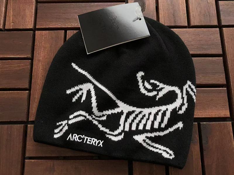 ARC TERYX TSHIRTS (286)