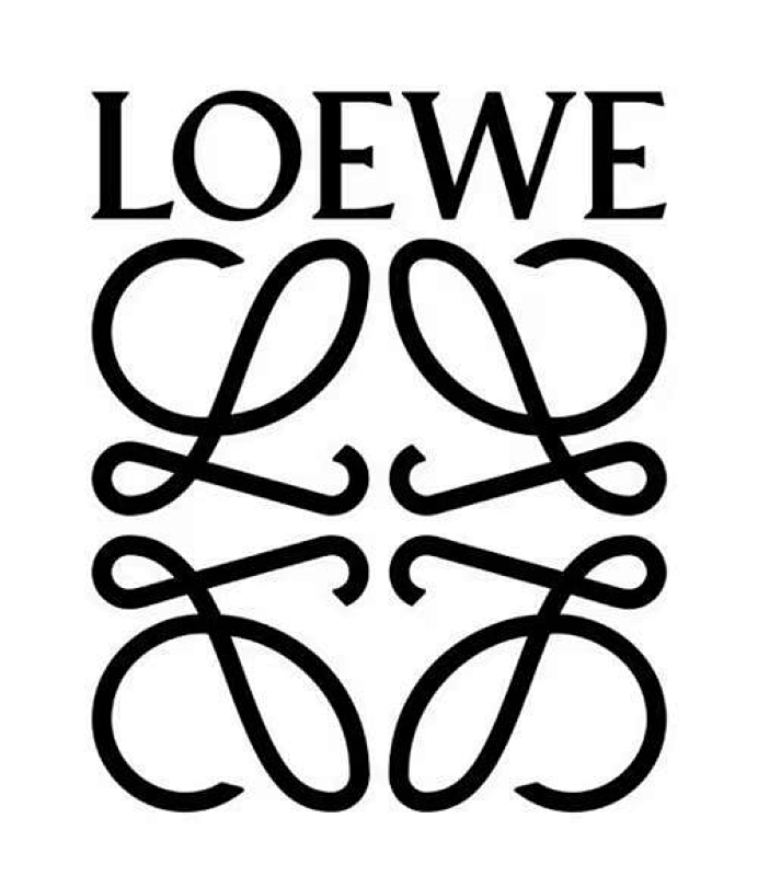 LOEWE TSHIRTS (295)