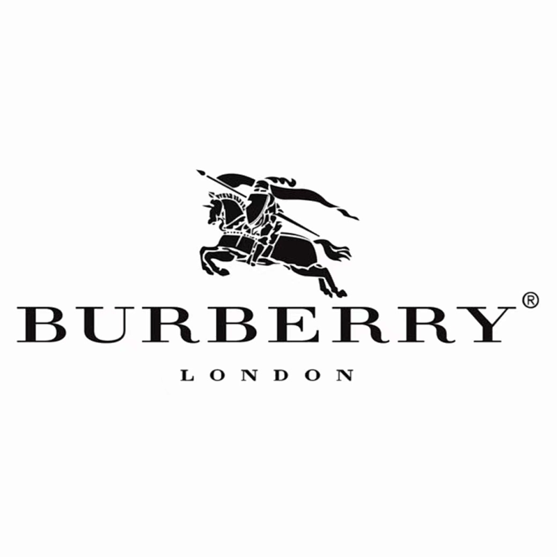 BURBERRY TSHIRTS (658)
