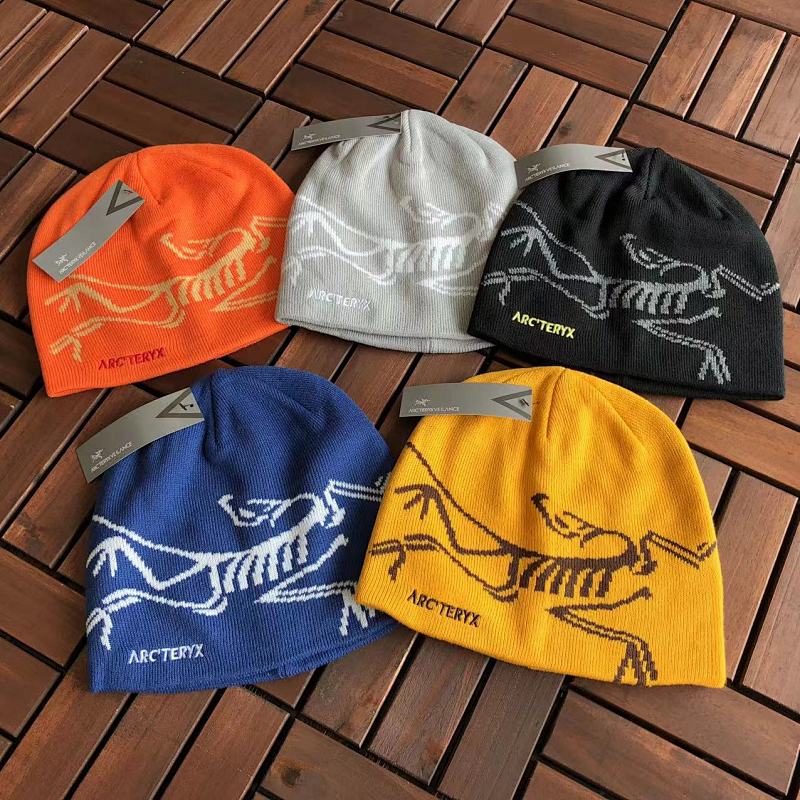 ARC TERYX TSHIRTS (299)