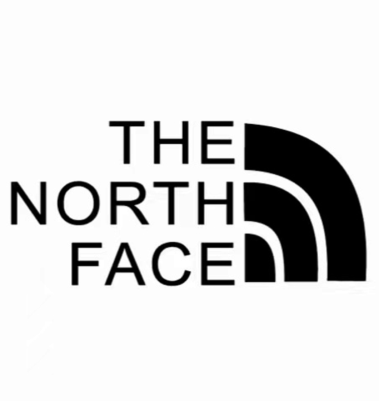 THE NORTH FACE TSHIRTS (236)