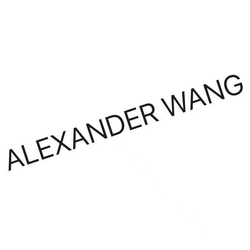 ALEXANDER WANG TSHIRTS (35)
