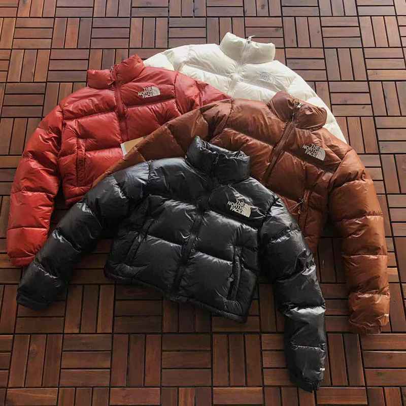 THE NORTH FACE TSHIRTS (228)