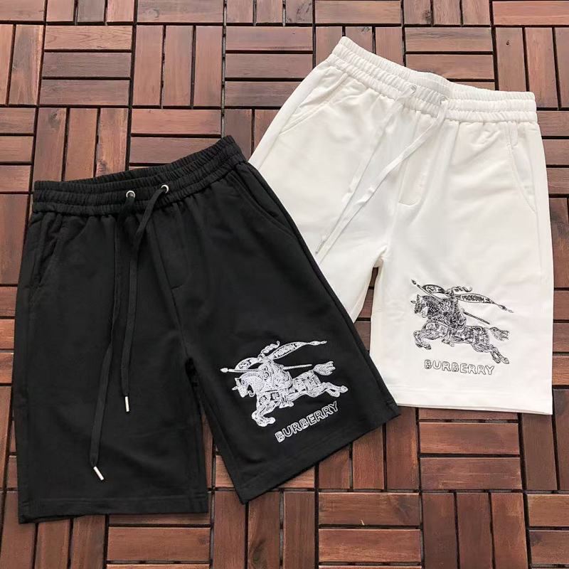 BURBERRY TSHIRTS (291)