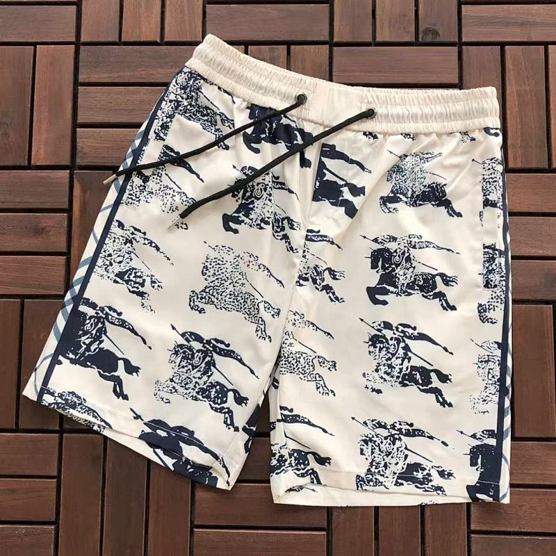 BURBERRY TSHIRTS (184)