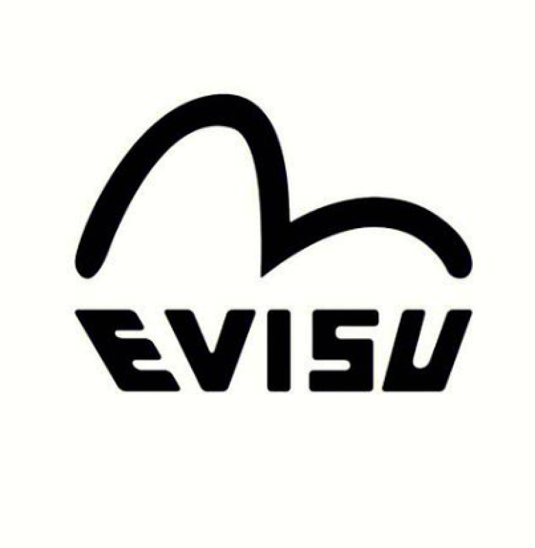 EVISU TSHIRTS (28)