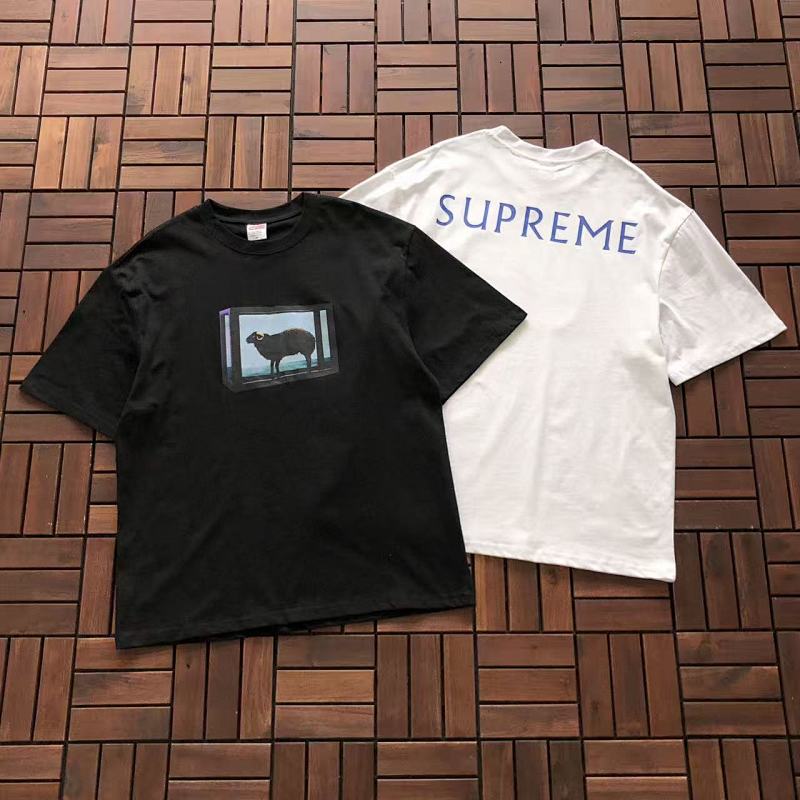 SUPREME TSHIRTS (82)