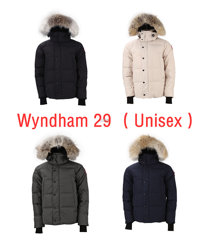 CANADA GOOSE (12)