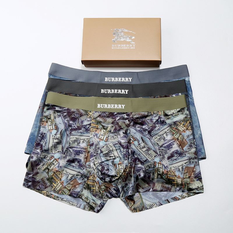 BURBERRY UNDERPANTS (2)