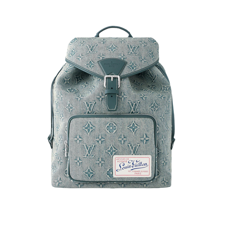 LOUIS VUITTON BAGS (63)
