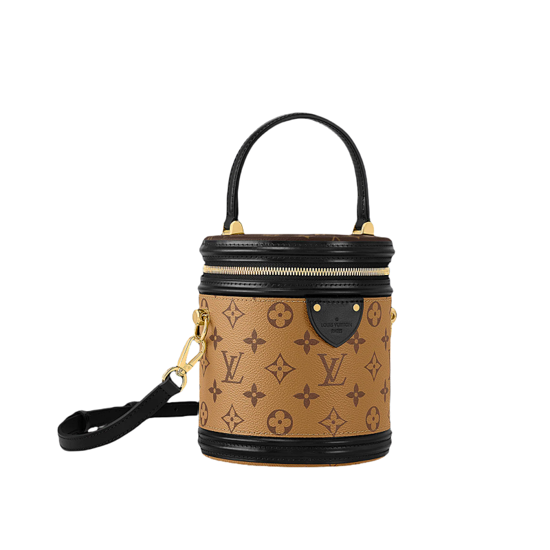 LOUIS VUITTON BAGS (55)