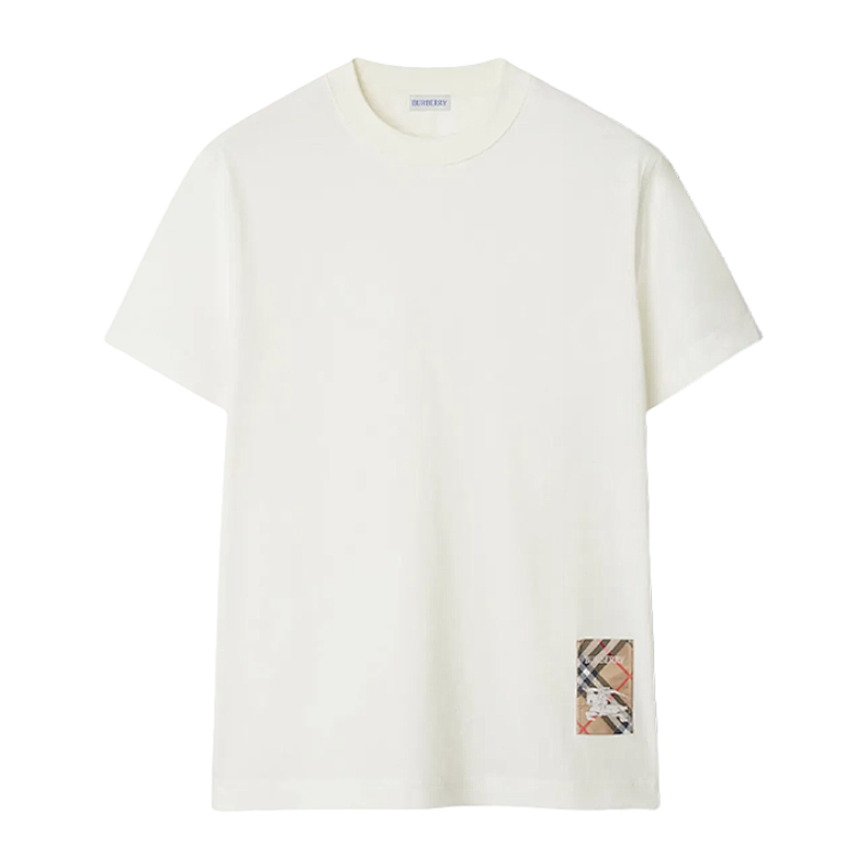 BURBERRY TSHIRTS (9)