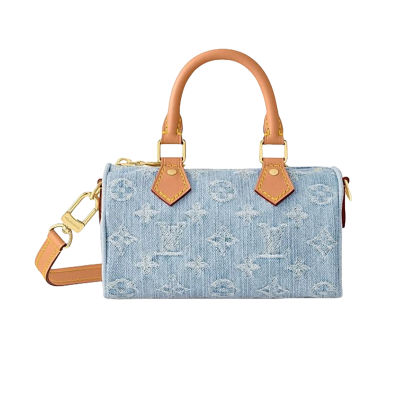 LOUIS VUITTON BAGS (39)
