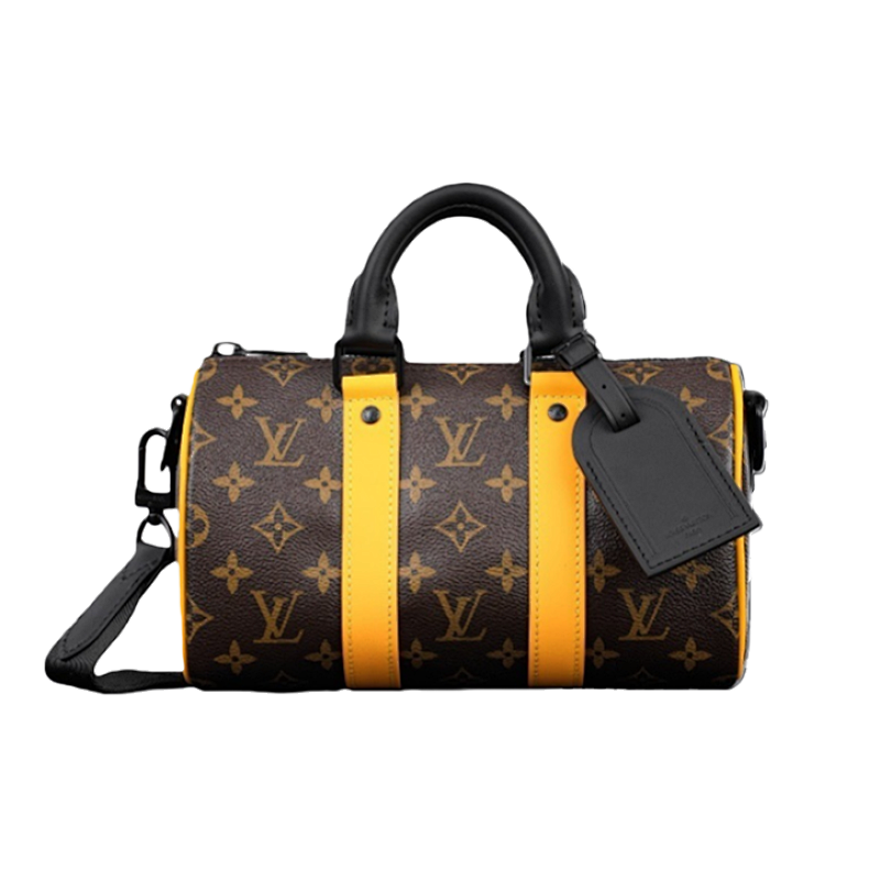 LOUIS VUITTON BAGS (25)