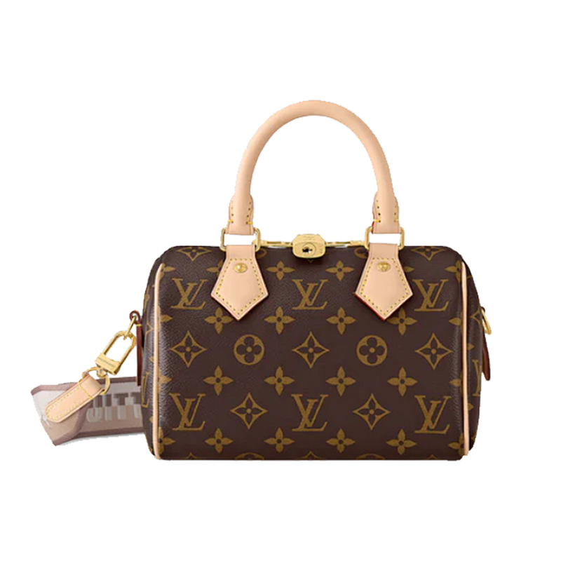 LOUIS VUITTON BAGS (36)