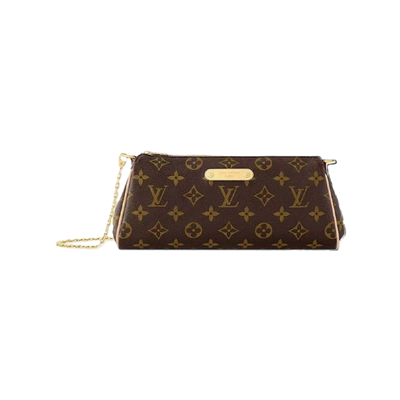 LOUIS VUITTON BAGS (14)