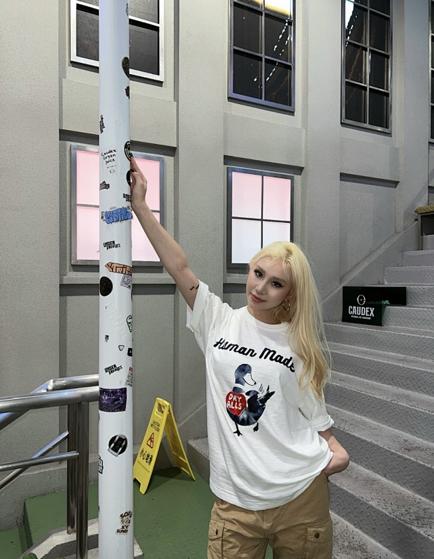 HUMAN MADE TSHIRTS (72)