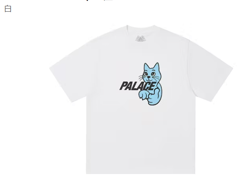 PALACE TSHIRTS (73)
