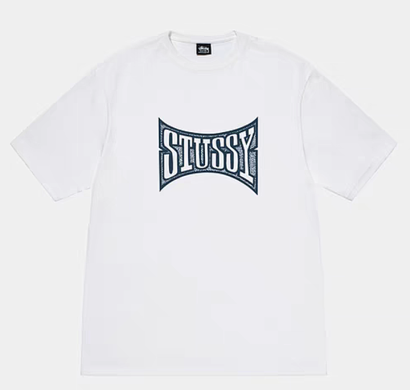 STUSSY TSHIRTS (81)
