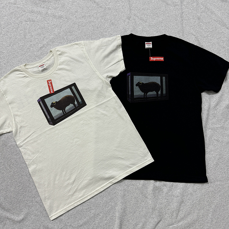 SUPREME TSHIRTS (80)