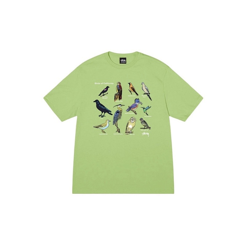 STUSSY TSHIRTS (53)