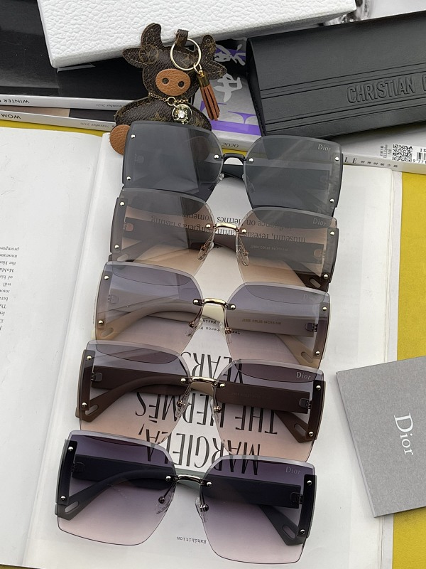 DIOR SUNGLASSES (89)