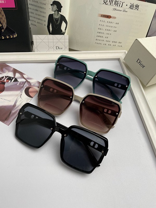 DIOR SUNGLASSES (33)