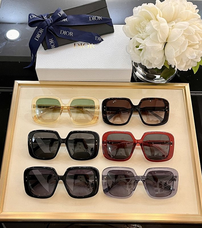 DIOR SUNGLASSES (164)