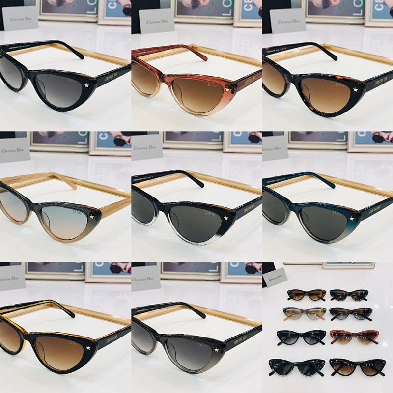 DIOR SUNGLASSES (103)