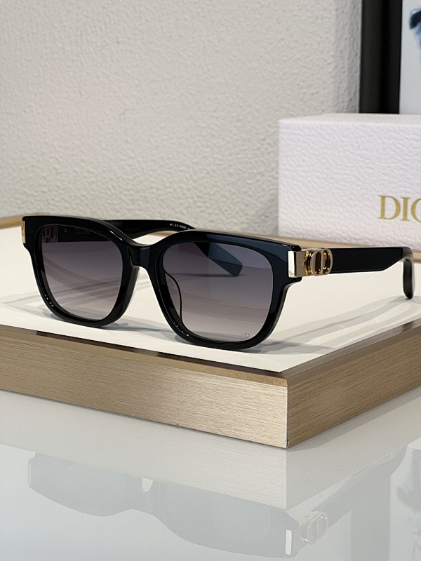 DIOR SUNGLASSES (208)
