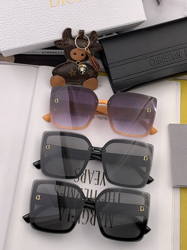 DIOR SUNGLASSES (10)