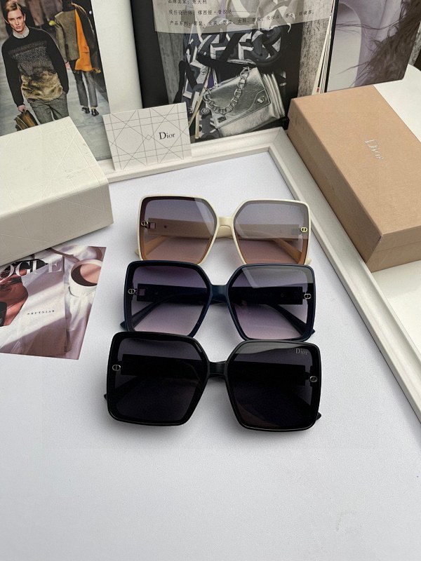 DIOR SUNGLASSES (85)