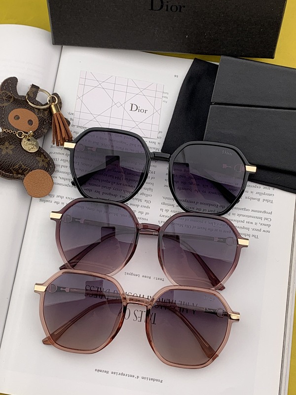 DIOR SUNGLASSES (54)