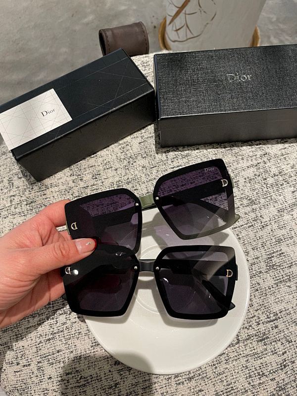 DIOR SUNGLASSES (72)