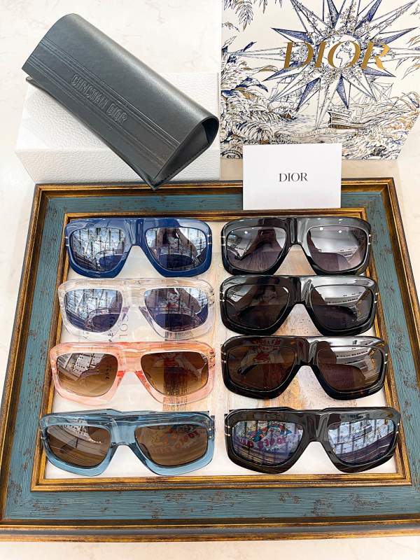 DIOR SUNGLASSES (104)