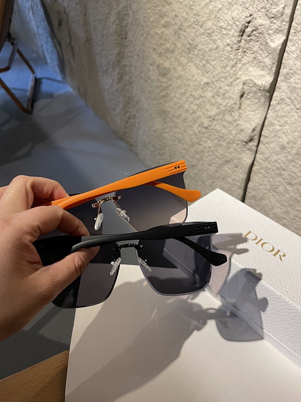 DIOR SUNGLASSES (141)