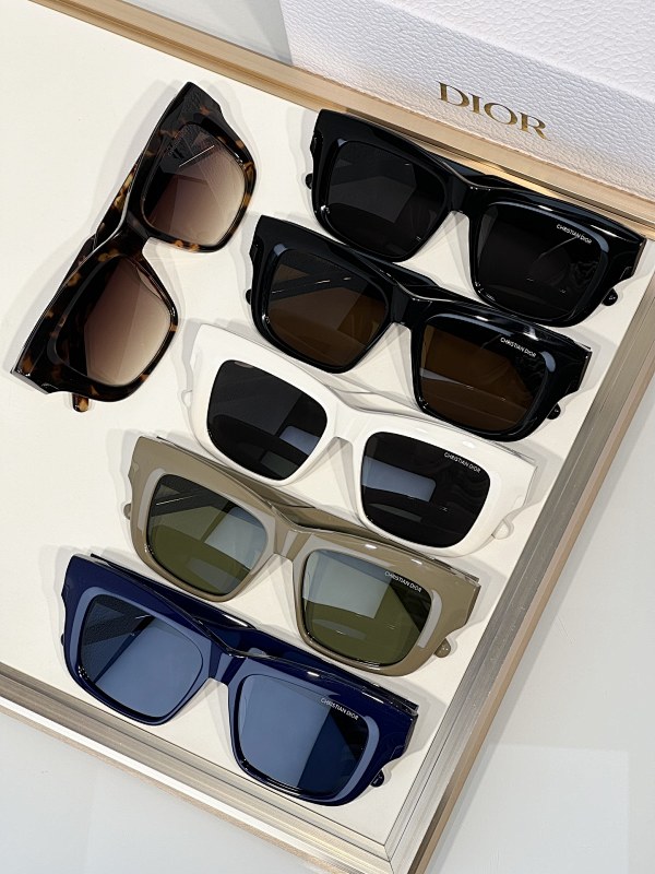 DIOR SUNGLASSES (243)