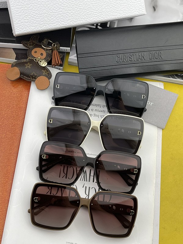 DIOR SUNGLASSES (55)