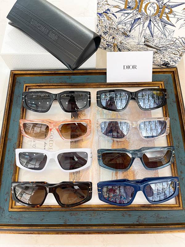 DIOR SUNGLASSES (105)