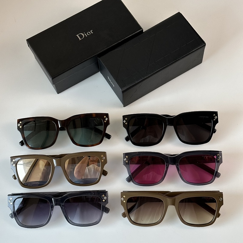 DIOR SUNGLASSES (77)