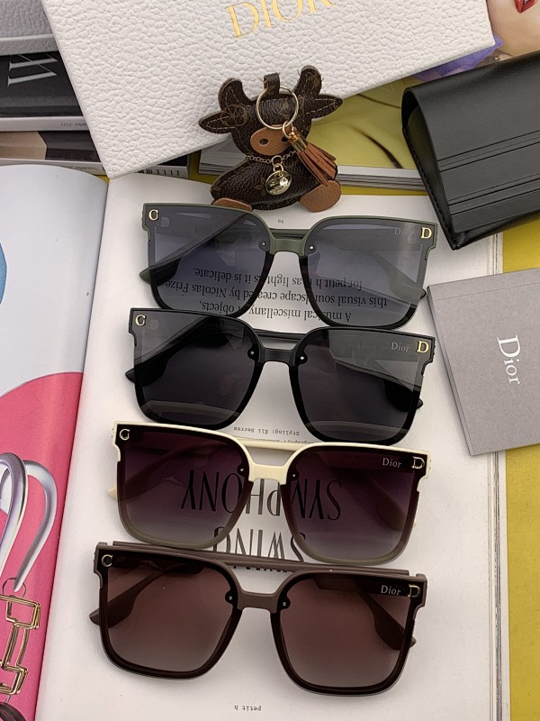 DIOR SUNGLASSES (35)