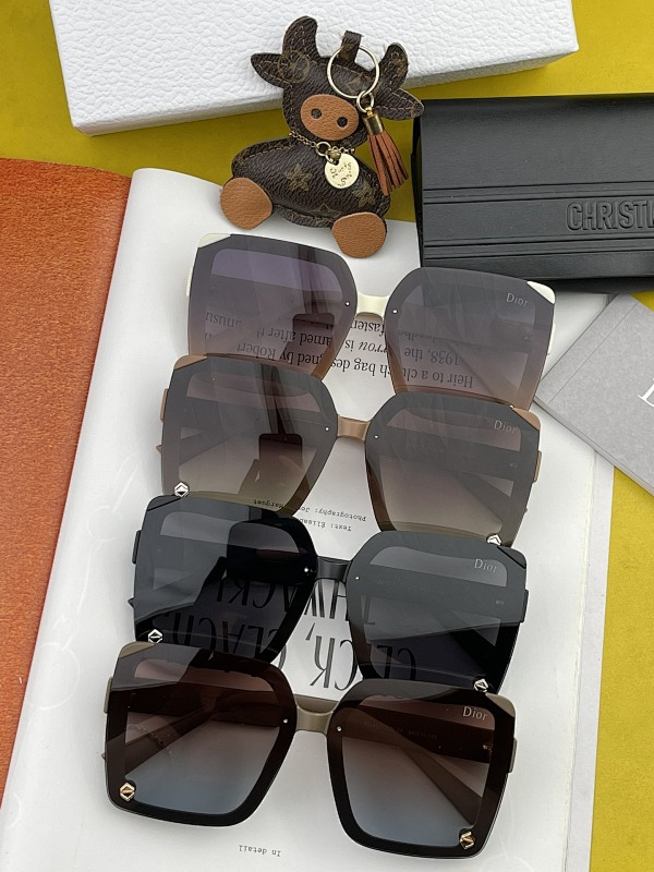 DIOR SUNGLASSES (134)