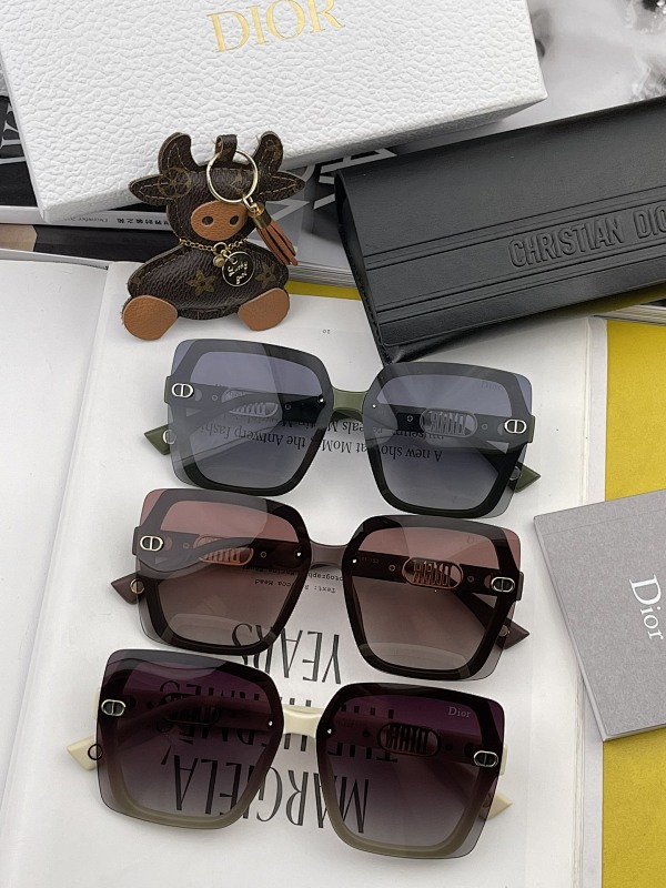 DIOR SUNGLASSES (42)