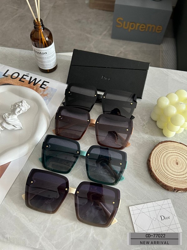 DIOR SUNGLASSES (74)
