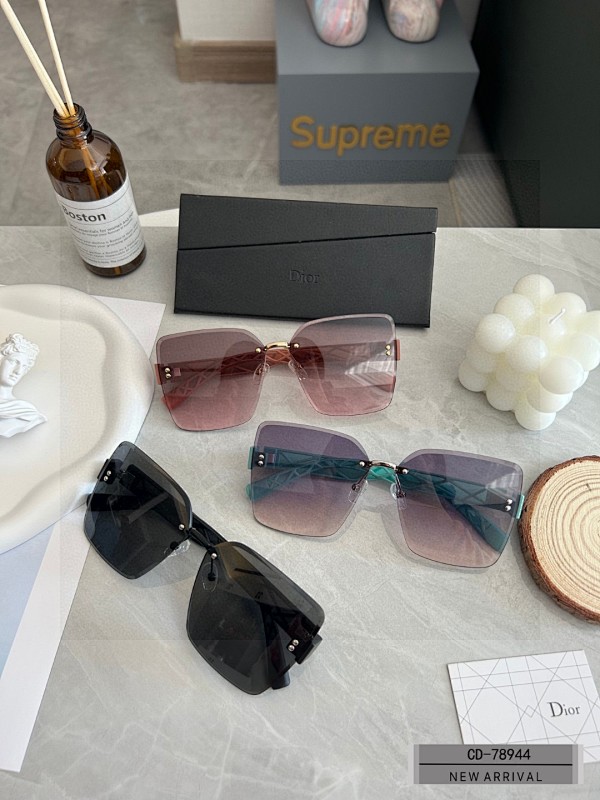 DIOR SUNGLASSES (6)