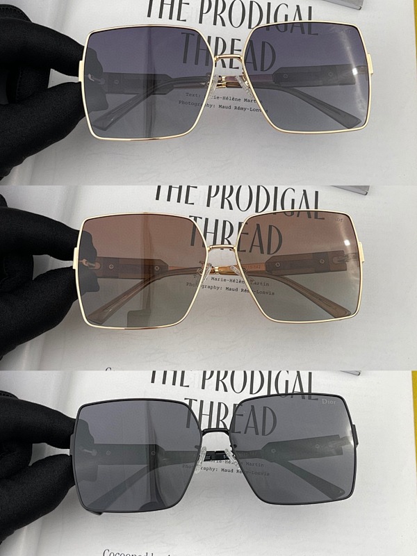 DIOR SUNGLASSES (64)